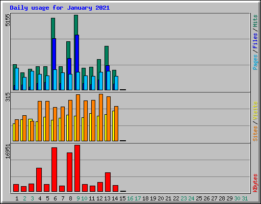 Daily usage for January 2021
