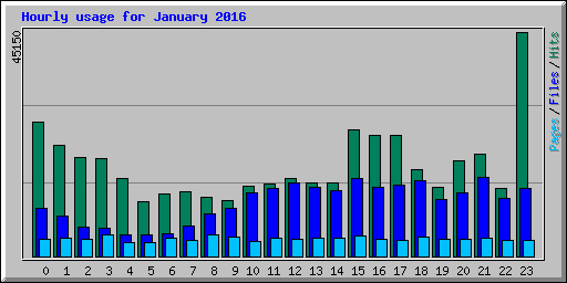 Hourly usage for January 2016