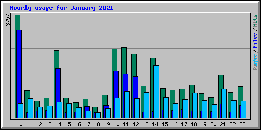 Hourly usage for January 2021