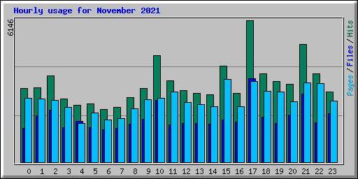 Hourly usage for November 2021