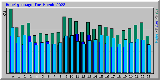 Hourly usage for March 2022