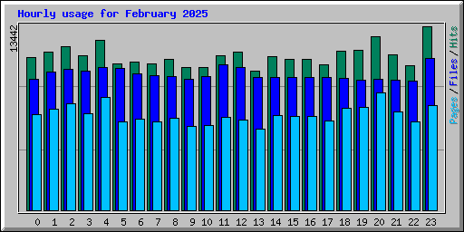 Hourly usage for February 2025