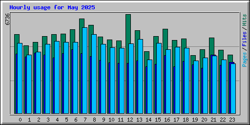 Hourly usage for May 2025