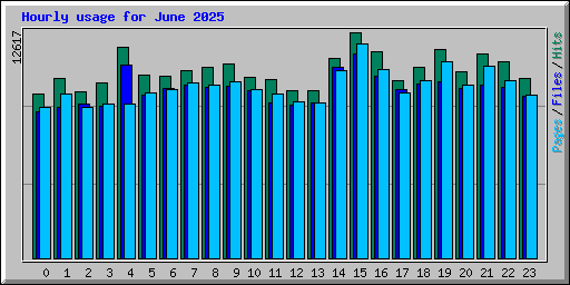 Hourly usage for June 2025