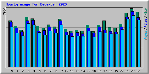 Hourly usage for December 2025